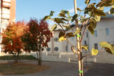 Заключен первый офсетный контракт