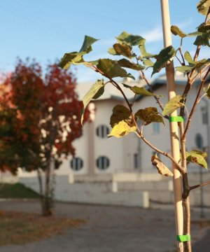 Заключен первый офсетный контракт