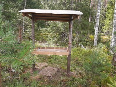 В лесах Нижегородской области началась подкормка птиц В лесах Нижегородской области началась подкормка птиц