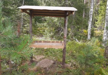 В лесах Нижегородской области началась подкормка птиц