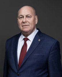 Ларин Михаил Васильевич