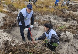 Более 12 тысяч сеянцев сосны высадили в Сосновском районе в ходе акции «Сохраним лес»
