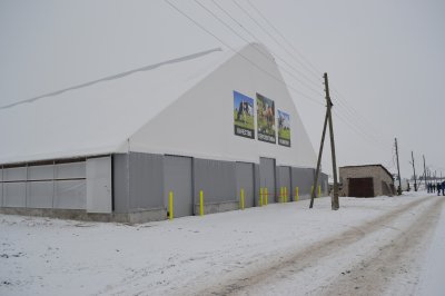 Новый животноводческий комплекс на 400 голов построили при господдержке в Большеболдинском муниципальном округе