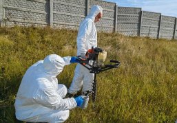 Более 200 скотомогильников ликвидировано в Нижегородской области за 2023 год