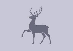 Минцифры региона составило карту точек бесплатного Wi-Fi в Нижегородской области