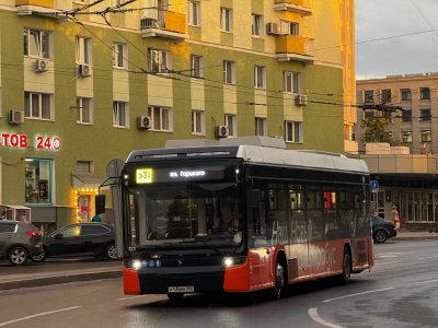 Нижегородский Минтранс изучит общественное мнение в части изменения номеров автобусного или электробусного маршрута №31