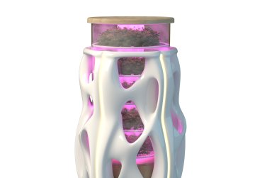 36  млн рублей грантовой поддержки получили победители конкурса ФСИ «Студенческий стартап»