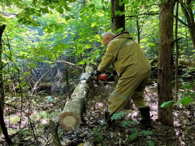 От неликвидной древесины в Богородском округе очистили 1,6 гектара леса От неликвидной древесины в Богородском округе очистили 1,6 гектара леса