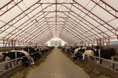 17 животноводческих комплексов построено и реконструировано в 2019 году в Нижегородской области при господдержке 17 животноводческих комплексов построено и реконструировано в 2019 году в Нижегородской области при господдержке