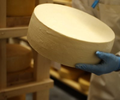 Первый в Нижегородской области производитель сыра присоединился к федеральному проекту «Производительность труда»