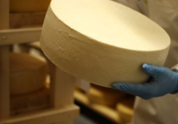 Первый в Нижегородской области производитель сыра присоединился к федеральному проекту «Производительность труда» Первый в Нижегородской области производитель сыра присоединился к федеральному проекту «Производительность труда»