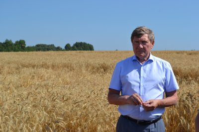 Николай Денисов оценил состояние посевов озимых и яровых культур в северных районах Нижегородской области