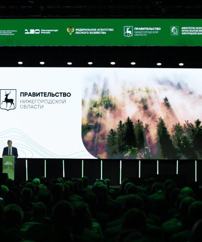 Предварительные итоги работы лесного хозяйства РФ в 2025 году подводят в Нижнем Новгороде на всероссийском форуме «Леса России»