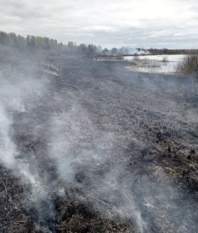 Минлесхоз Нижегородской области напоминает о необходимости соблюдения правил пожарной безопасности в лесу в период майских праздников