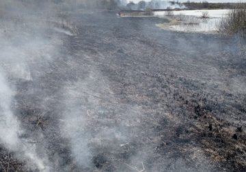 Минлесхоз Нижегородской области напоминает о необходимости соблюдения правил пожарной безопасности в лесу в период майских праздников