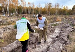 Более 20 тысяч сеянцев сосны высадили в Шатковском лесничестве в рамках всероссийской акции «Сохраним лес»