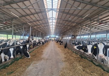 128 молодых работников предприятий АПК начали получать государственные выплаты в 2024 году 128 молодых работников предприятий АПК начали получать государственные выплаты в 2024 году