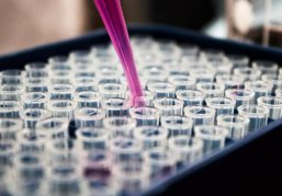 Наука здорового человека. Над какими разработками в области медицины трудятся нижегородские ученые