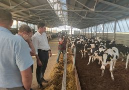 Ферму более чем на 1000 голов планируется достроить в Бутурлинском муниципальном округе при господдержке в 2024 году