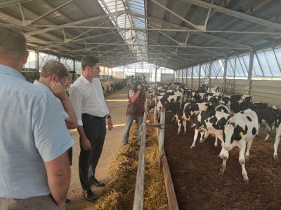 Ферму более чем на 1000 голов планируется достроить в Бутурлинском муниципальном округе при господдержке в 2024 году