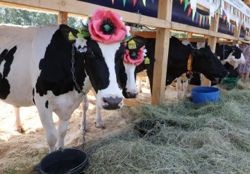 Организации АПК Нижегородской области приглашаются на выставку «День поля-2025» в качестве участников Организации АПК Нижегородской области приглашаются на выставку «День поля-2025» в качестве участников