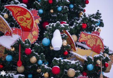 Новогодние елки Арзамаса и Семёнова стали победителями регионального этапа конкурса «Елки России» Новогодние елки Арзамаса и Семёнова стали победителями регионального этапа конкурса «Елки России»