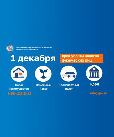 1 декабря 2025 года — срок уплаты налогов физических лиц