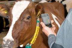 Андрей Саносян: «Внедрение цифровых технологий в сельском хозяйстве позволяет значительно повысить эффективность производства» Андрей Саносян: «Внедрение цифровых технологий в сельском хозяйстве позволяет значительно повысить эффективность производства»