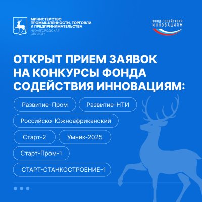 Грантовую поддержку до 30 млн рублей могут получить нижегородские инноваторы на развитие своих проектов