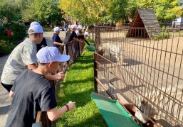 Дети участников СВО из Первомайска посетили зоопарк «Лимпопо» и парк «Швейцария»
