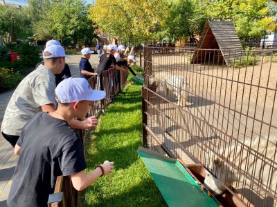Дети участников СВО из Первомайска посетили зоопарк «Лимпопо» и парк «Швейцария» Дети участников СВО из Первомайска посетили зоопарк «Лимпопо» и парк «Швейцария»