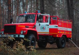 Количество лесных пожаров в Нижегородской области в этом году снизилось на треть