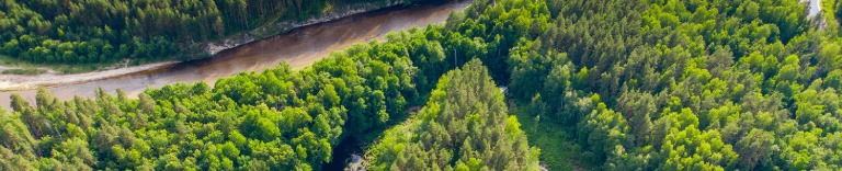 Керженский заповедник