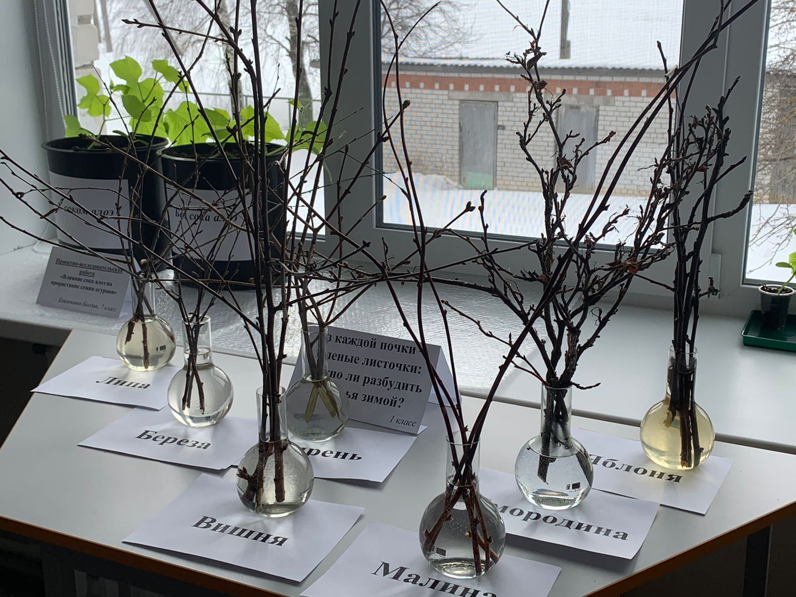 Комиссия регсовета по сельскому хозяйству рекомендовала муниципальным округам развивать доступное жилье для сотрудников агропредприятий